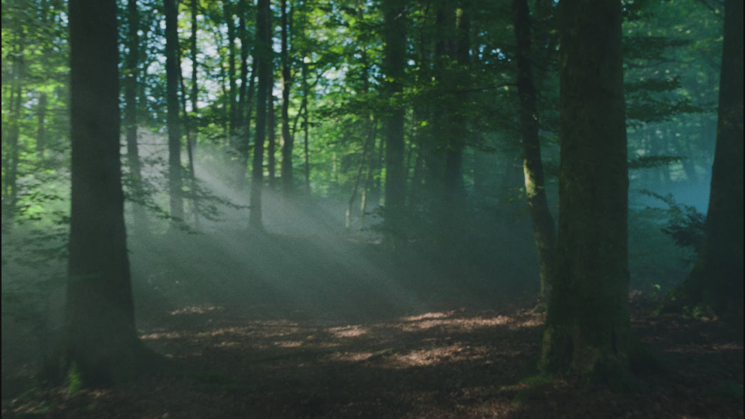 Merrell - Agility Peak 6